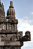 Prambanan - Candi Lara Jonggrang, gargoyles in the form of a 'makara' 